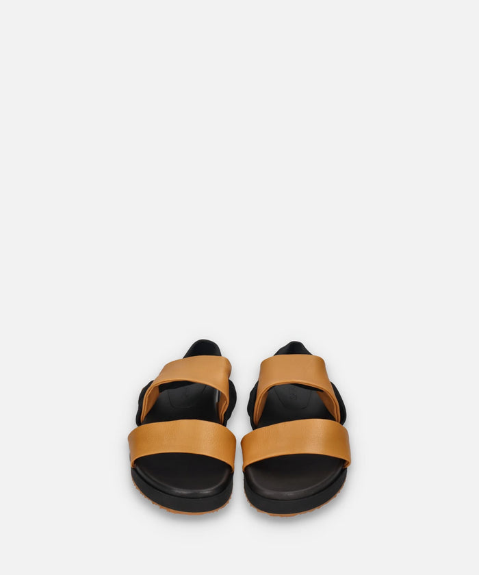 SP-1723 Camel