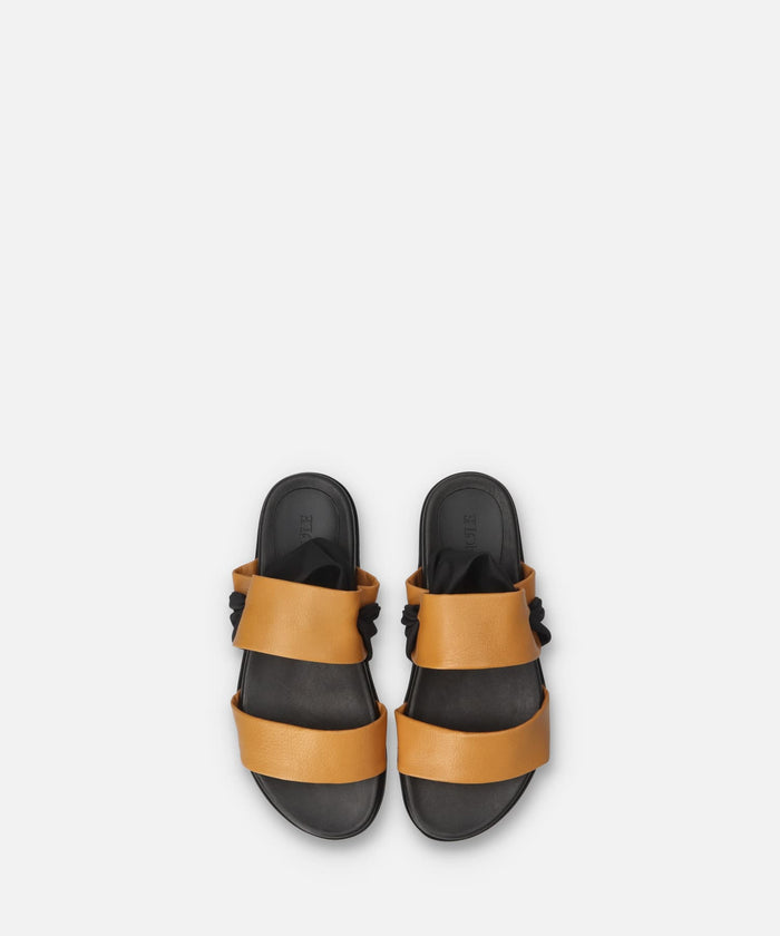 SP-1723 Camel