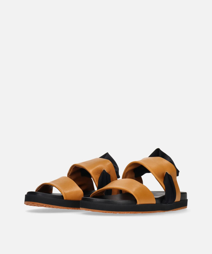 SP-1724 Camel