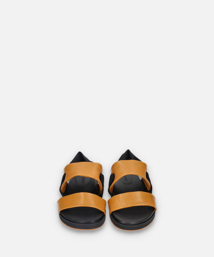 SP-1724 Camel