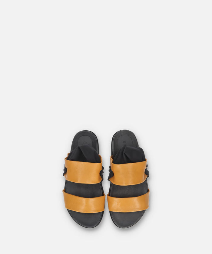 SP-1724 Camel