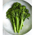 Steamed Broccoli Sold By The Cup Meal Prep Ottawa