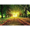 Tree Road Diamond Painting Diamond Art Kit