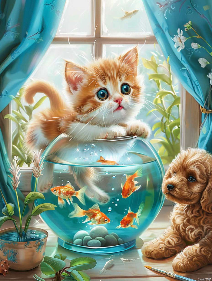 Window Light Wonders