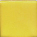 Yellow 4OZ